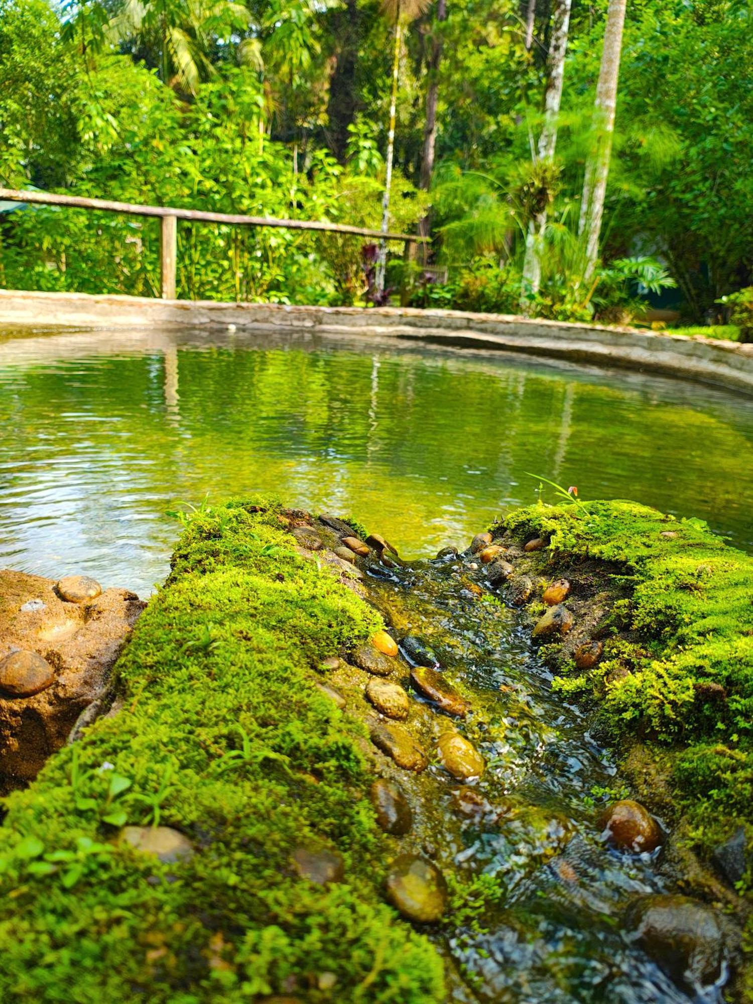 Pousada Romantica Serra Da Mata Penedo Kültér fotó